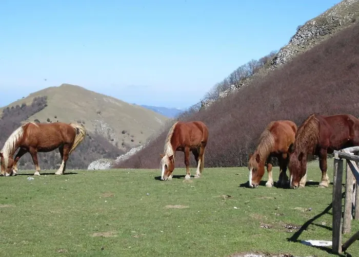 App- Nidastore By Interhome * Arcevia